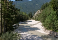 bikephoto_alpe_2019_12