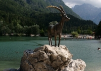 bikephoto_alpe_2019_15